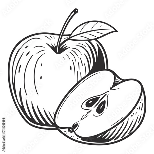 newton pippin apple with leaf