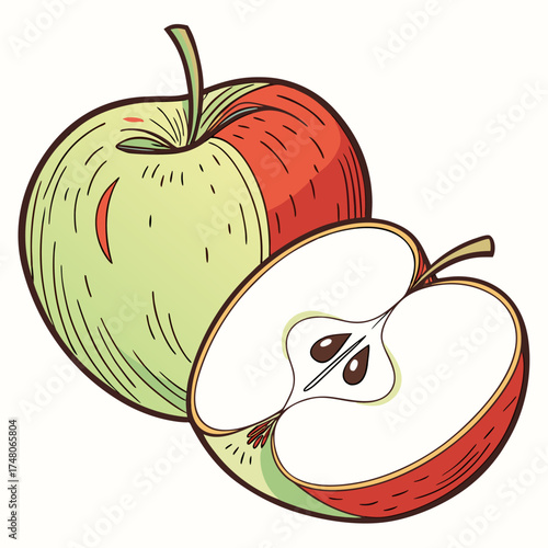 newton pippin apple vector
