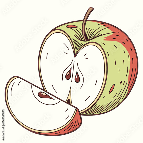 newton pippin apple vector