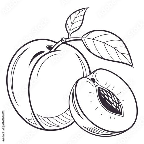 nectarine with leaf