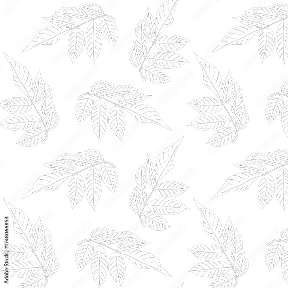 Fototapeta premium Seamless pattern line langsat (Lanzones) leaves.
