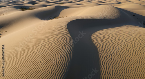 Sand dunes with flowing curves and wind-carved patterns in desert landscape. Natural erosion formations and arid environment geology. Environmental study and landscape content