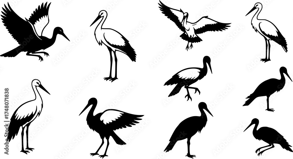 Fototapeta premium Silhouette stork collection: elegant bird designs for creative projects 