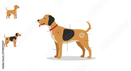 An illustration of a standing brown dog, showing the parts of the body