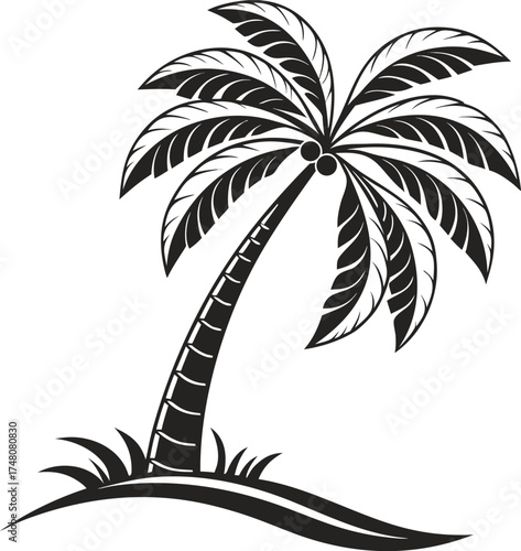 palm tree silhouette