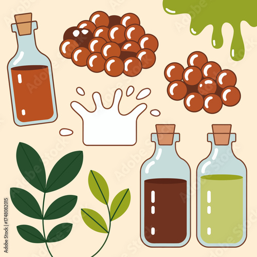 Assortment of herbal ingredients with bottles of tinctures and decorative leaves and globules for holistic practices and natural wellness