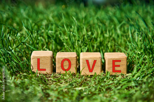 Wooden cube blocks with multicolor LOVE text on fresh green grass