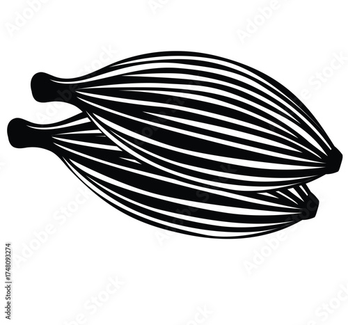 Cute cartoon hand drawn vector Cardamom icon silhouette.