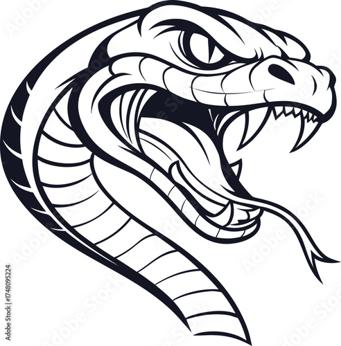 Angry Snake Head Illustration