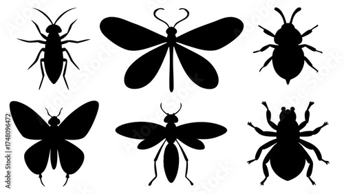 Elegant insect silhouettes offer a natural touch for designs, perfect for educational resources or stylish nature-themed graphics, showcasing simple insect shapes