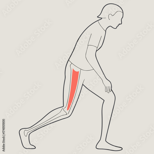Vector art of stretching the quadriceps muscle