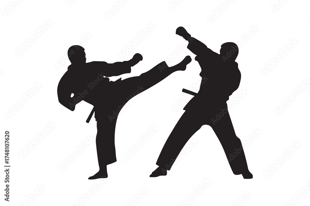 Fototapeta premium Two silhouetted figures engage in martial arts combat against a white background