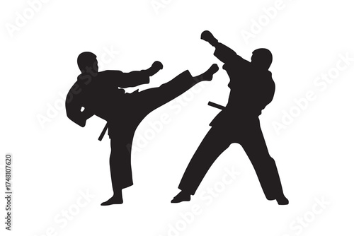 Two silhouetted figures engage in martial arts combat against a white background