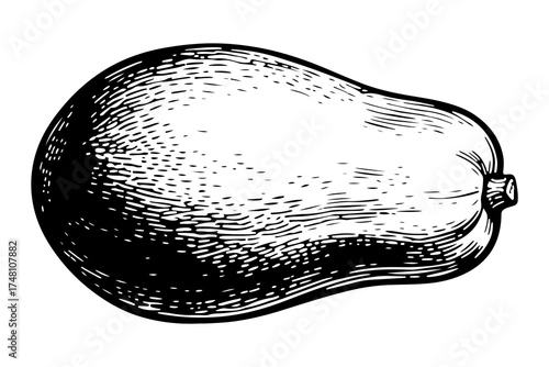 Papaya fruits vector engraving style illustration