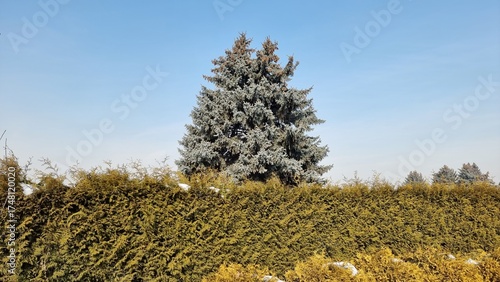 beautiful view of the garden
