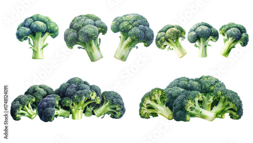 set of broccoli on watercolor style