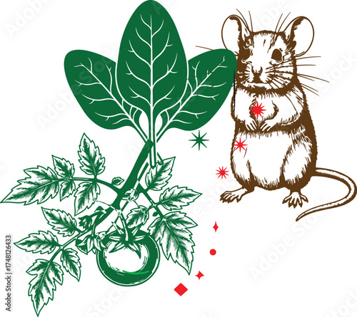 Greedy Mouse with Spinach and Green Leaves Vintage Engraving