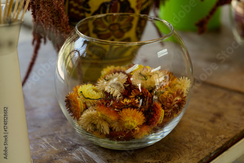 Macro photo of dried helichrysum flowers, also known as immortelle in a glass vase . Natural herbal ingredient used in tea, cosmetics, and traditional medicine