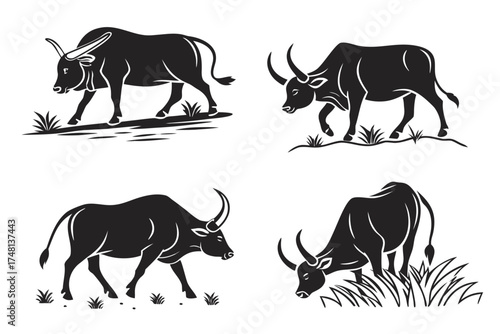 Minimalist zebu cattle icon set with farm animal graphics