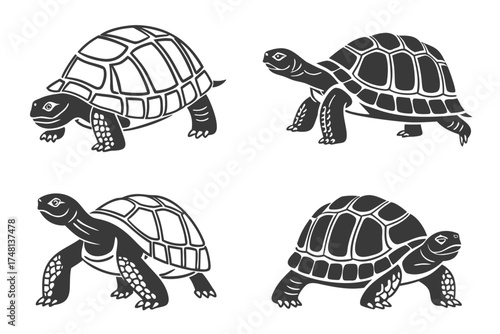 Minimalist tortoise walking icon set