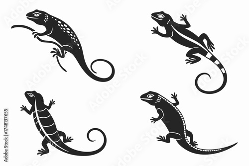 Tropical iguana icon set for wildlife and nature designs