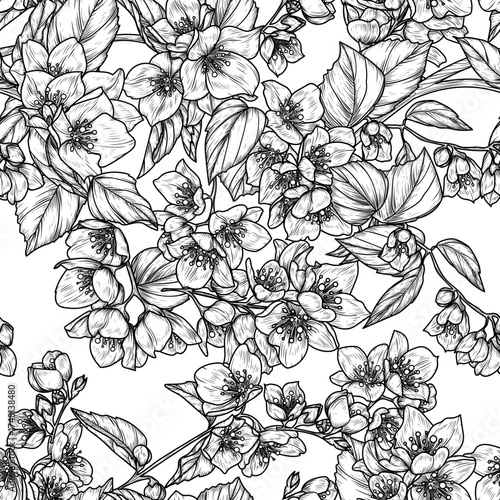 Seamless vector pattern of blooming jasmine. Spring floral background. Delicate decor of blooming branches in engraving style	