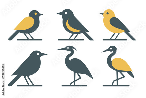 Collection of six stylized bird species icons in minimalist flat design