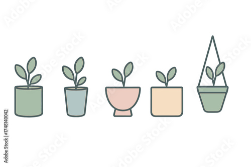 Minimalist set of small indoor plants growing in various colorful pots and planters