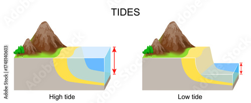 High tide, and low tide