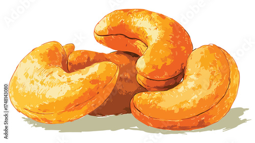 Vibrant Cashew Nuts Illustration with 3 Nuts Displayed