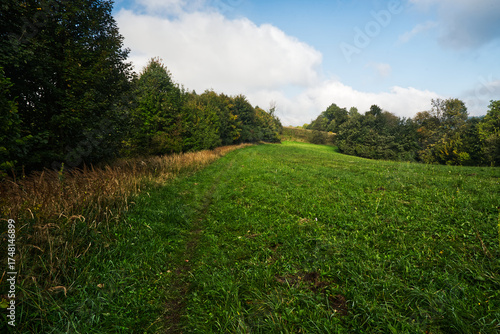 Early autumn meadow with trees around in Slezske Beskydy mountains in Czech republic