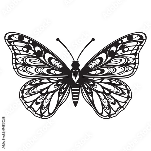 Detailed butterfly illustration with unique wing designs, isolated on white background, ideal for creative coloring projects