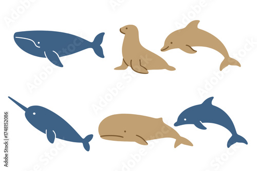 Stylized marine mammals collection featuring whales dolphins narwhal and sea lion in flat design