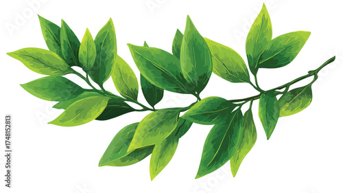 Vibrant Green Leaf Plant Branch - Botanical Nature Growth in Spring