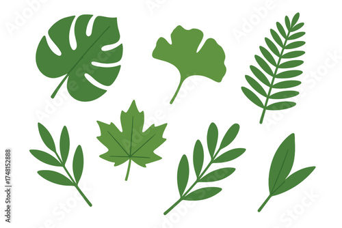 Diverse set of green foliage elements including tropical monstera, ginkgo, maple, and fern leaves