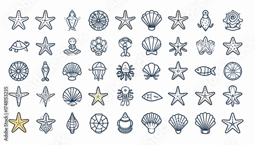 Adobe Illustrator Artwork