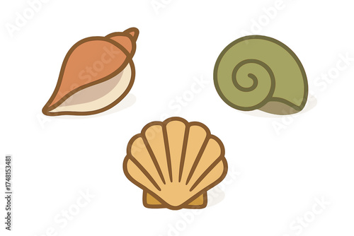 Collection of three marine seashells including a conch, spiral gastropod, and scallop