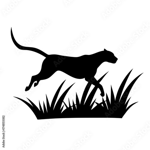 Silhouette of a black panther jumping over grass