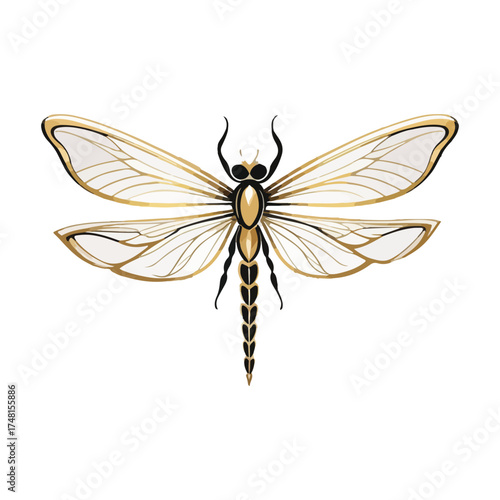 Dragonfly