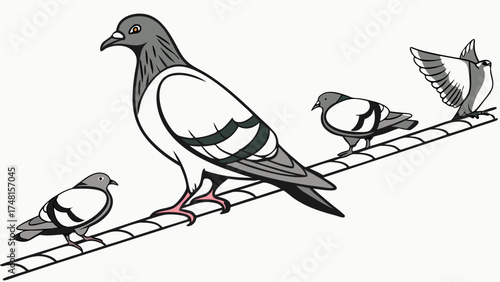Four Pigeons Perched on a Wire Bird Illustration Avian Wildlife Artwork.