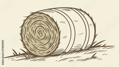 Hay bale round bale agricultural illustration farming harvest rural country nature field hay grass summer autumn agriculture countryside livestock feed farm animal feed rustic v.