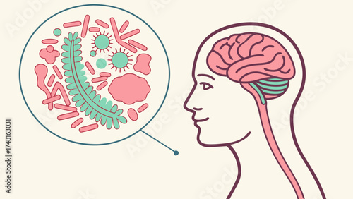 Gut Microbiome and Brain Connection Illustrated Medical Graphic.