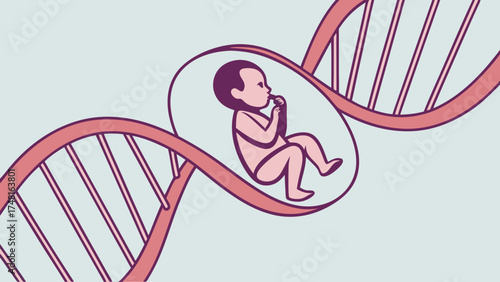 Human DNA Genetics Baby Fetal Development Scientific Illustration Medical Concept Healthcare Biology Life Newborn Pregnancy Gene Chromosome Cell Molecular Biology Science Research.