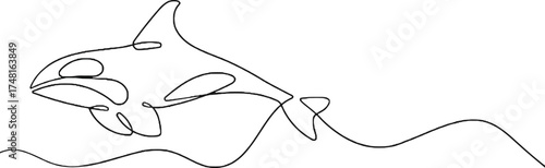 A vector illustration of a black silhouette of a fish and a white shark for computer design decoration
