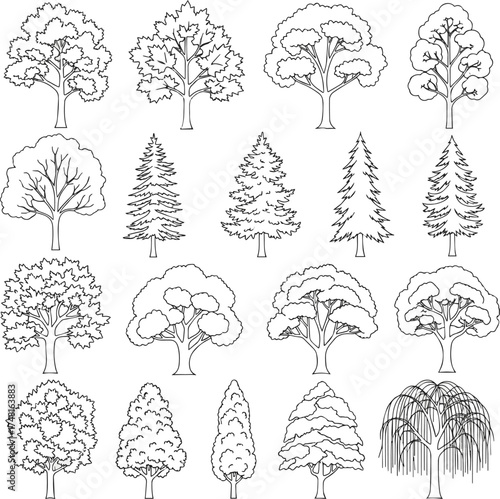 Isolated a kinds of deferent Cad tree line minimal style, set of graphics trees elements outline symbol for architecture and landscape design drawing vector art with white background.
