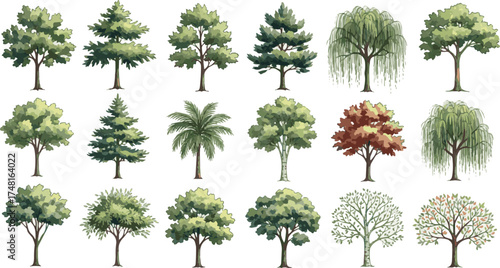 Isolated a kinds of deferent Watercolor tree vector in side view painting botanical for section and elevation landscape plan and architecture layout drawing, elements for environment vector art.