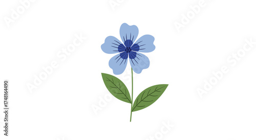 A delicate blue flower with five petals stands tall on a thin green stem with two leaves.