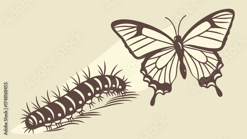 Stylized caterpillar and butterfly illustration insect metamorphosis nature graphic design element.
