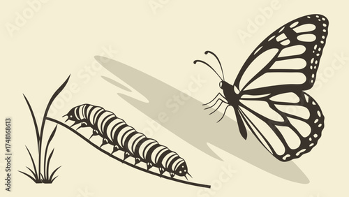 Stylized illustration of caterpillar transforming into butterfly nature insect metamorphosis wildlife graphic design vector art.