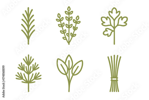 Minimalist line art collection of fresh culinary herbs and spices used for cooking and seasoning